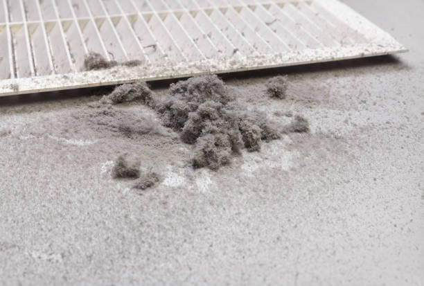 Best Ventilation Cleaning Services  in Apple Valley, CA