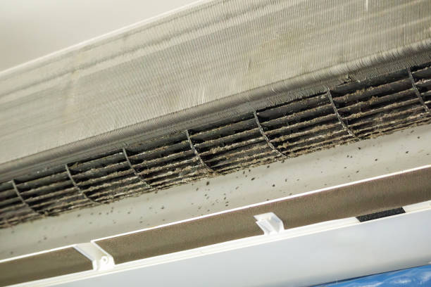 Best Emergency Air Duct Cleaning  in Apple Valley, CA